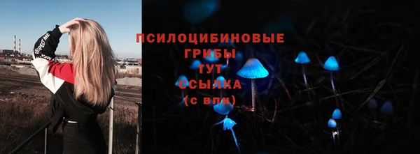 прущая мука Баксан