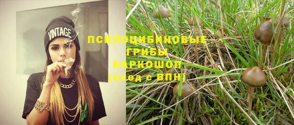 прущая мука Баксан