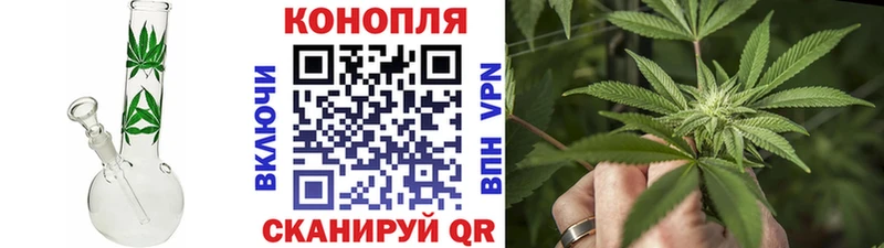 Бошки марихуана сатива  дарнет шоп  Касимов 